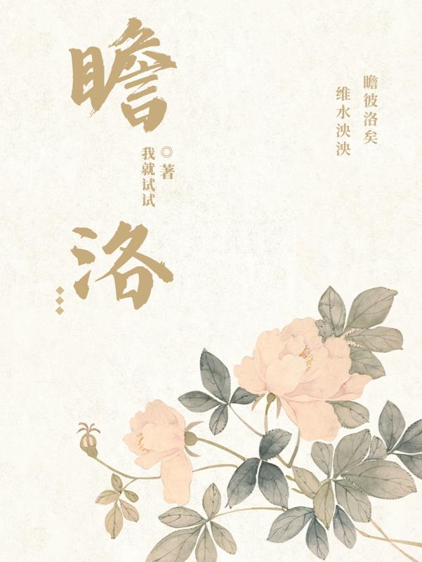瞻芯电子